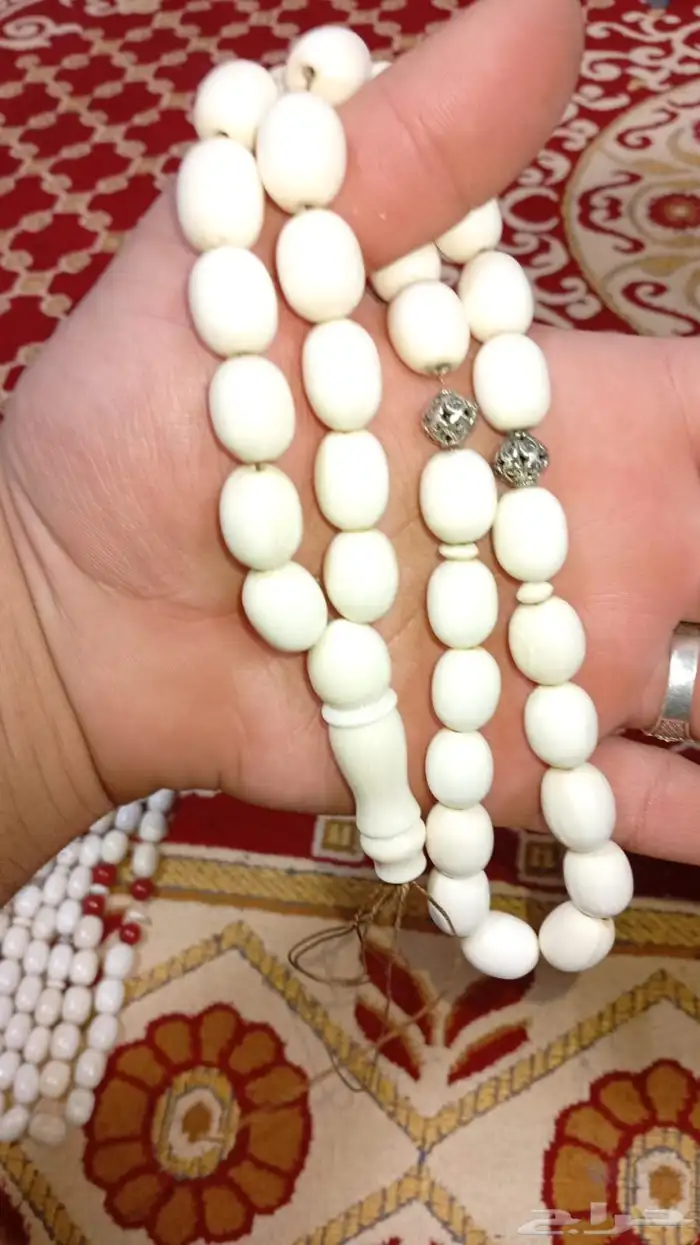 سبح عاج ناب الفيل 2