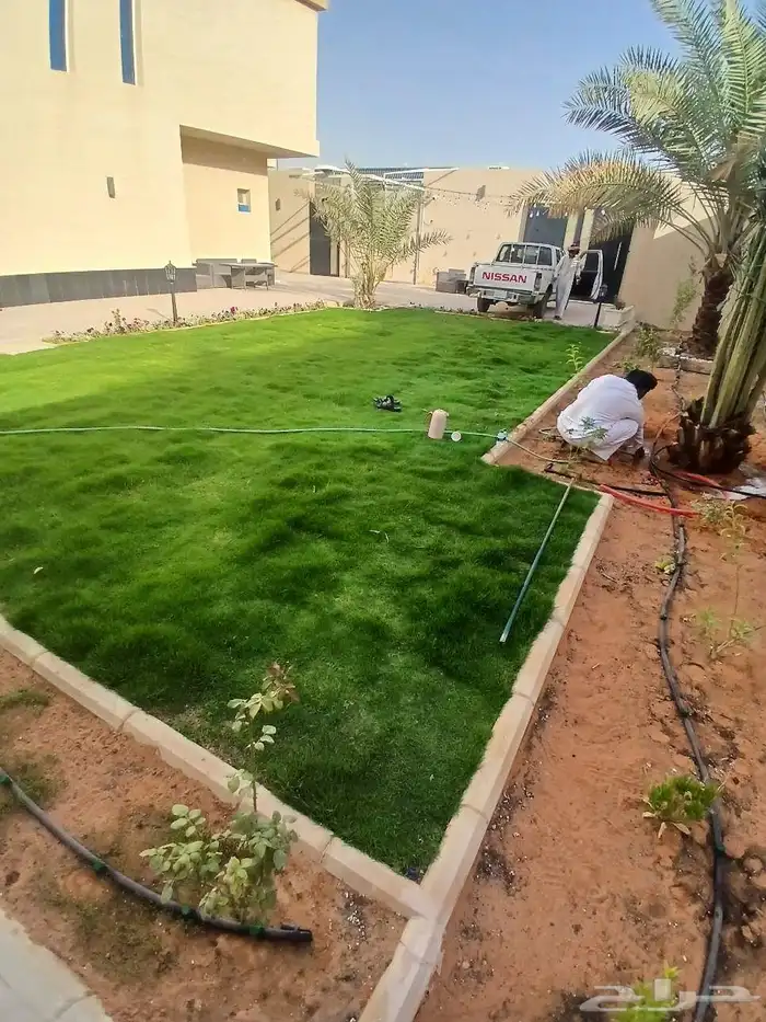 ابو يوسف لتوريد انخيل الوشنطني والأشجار وثيل 6