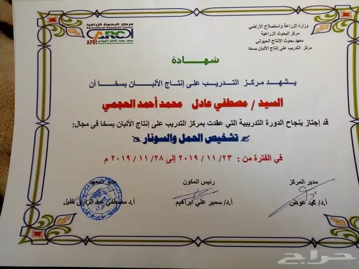 تلقيح الابقار 1