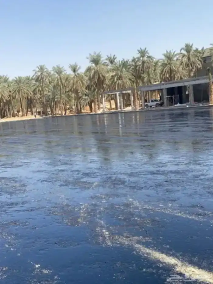 زفلتة حاروبارد مبشور قشط اسعار طيبة يا مرحبا 4