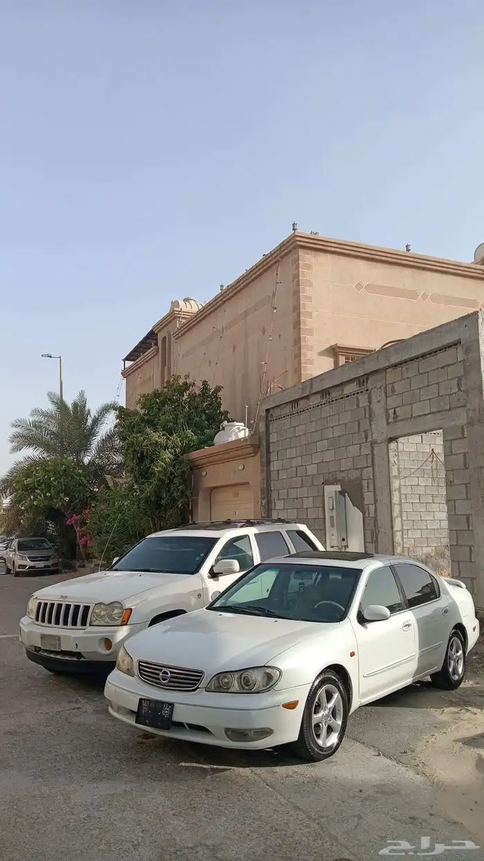 للبيع 1