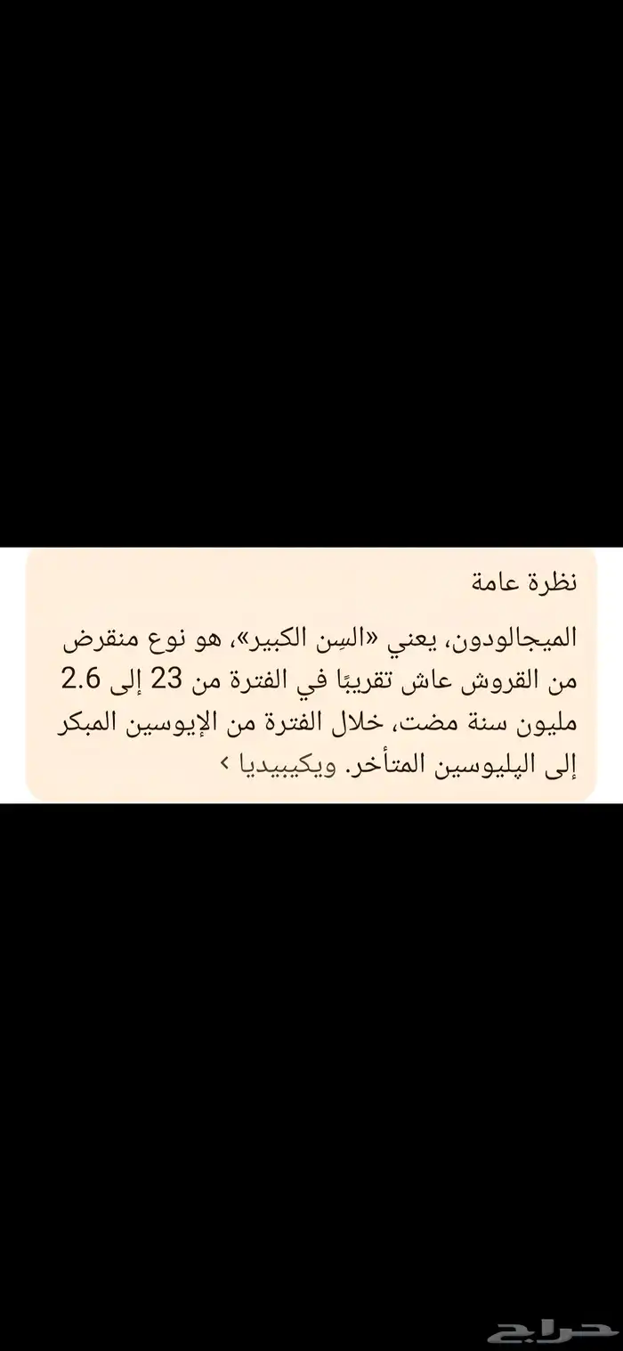 قلاده سن سمك ميجلادون 4