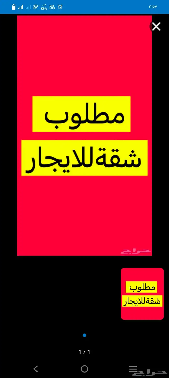 مطلوب شقه عزاب حي الزهراء 0