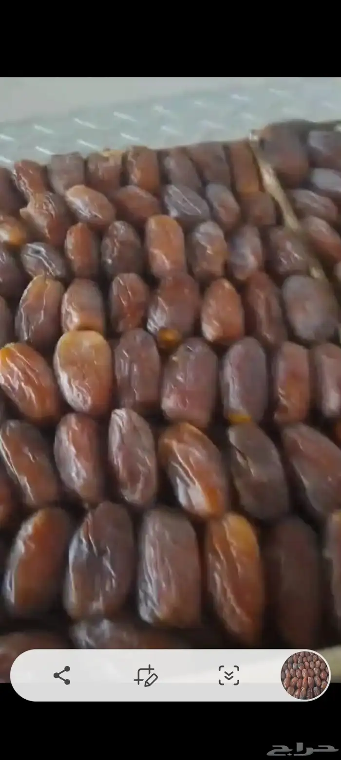 نوفر جميع انواع التمور وجميع الكميات بعون الله 7