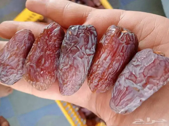 نوفر جميع انواع التمور وجميع الكميات بعون الله 6