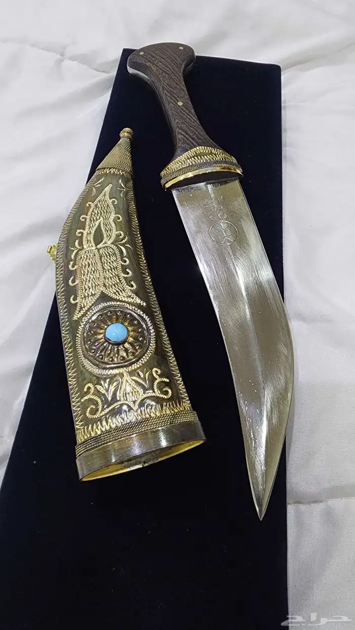 شبرية عبدالله الغزاوي 2