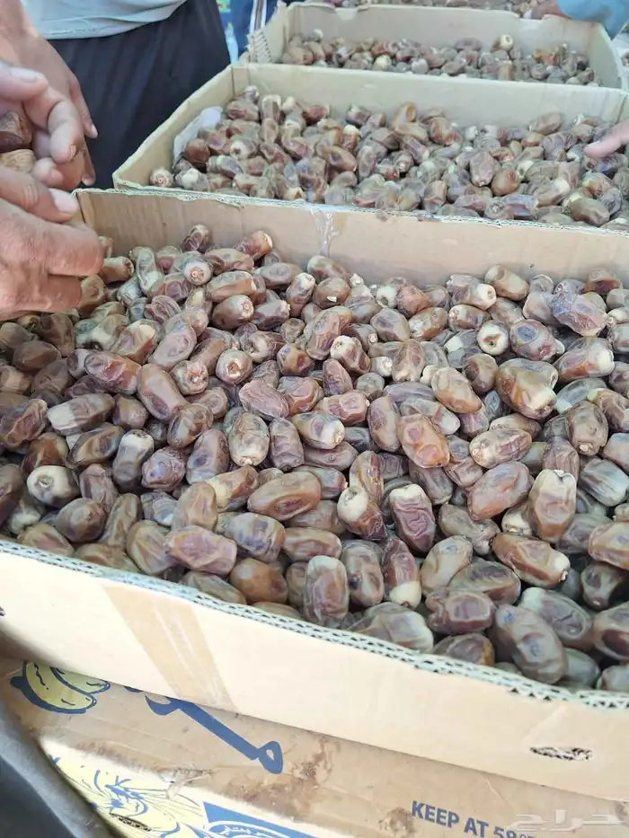 نوفر جميع انواع التمور وجميع الكميات بعون الله 4