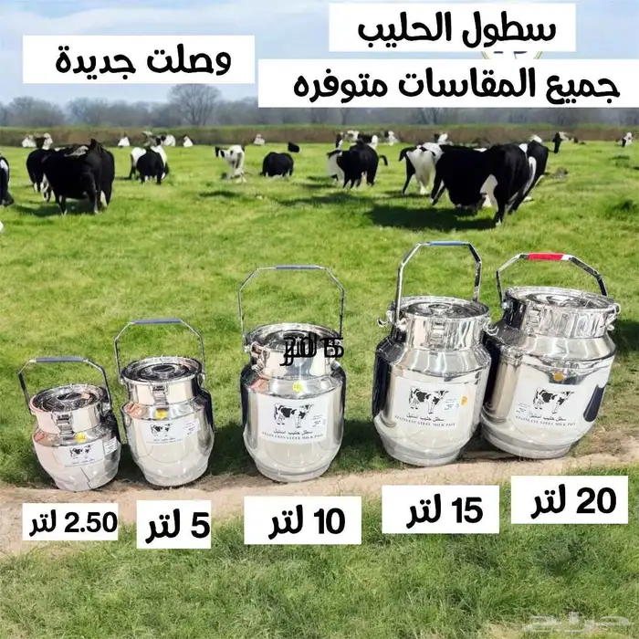 سطول استيل لتخزين الحليب 0