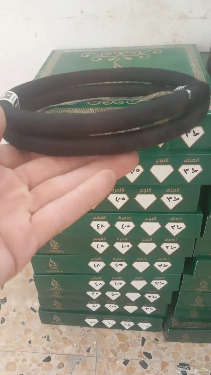 عقل اصليه بل جمله 2