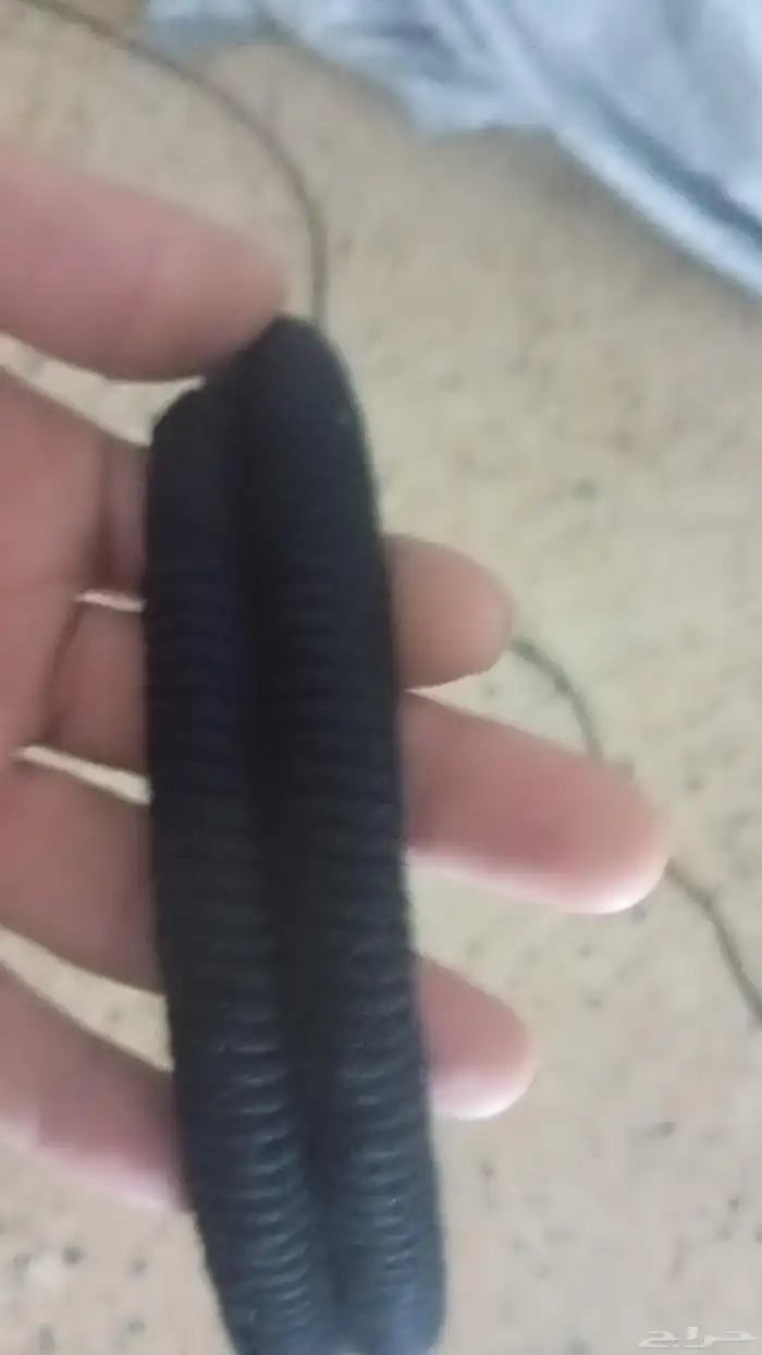 عقل اصليه بل جمله 3