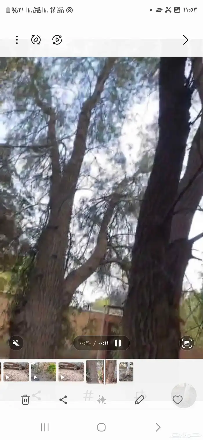 مزرعة للإيجا 5