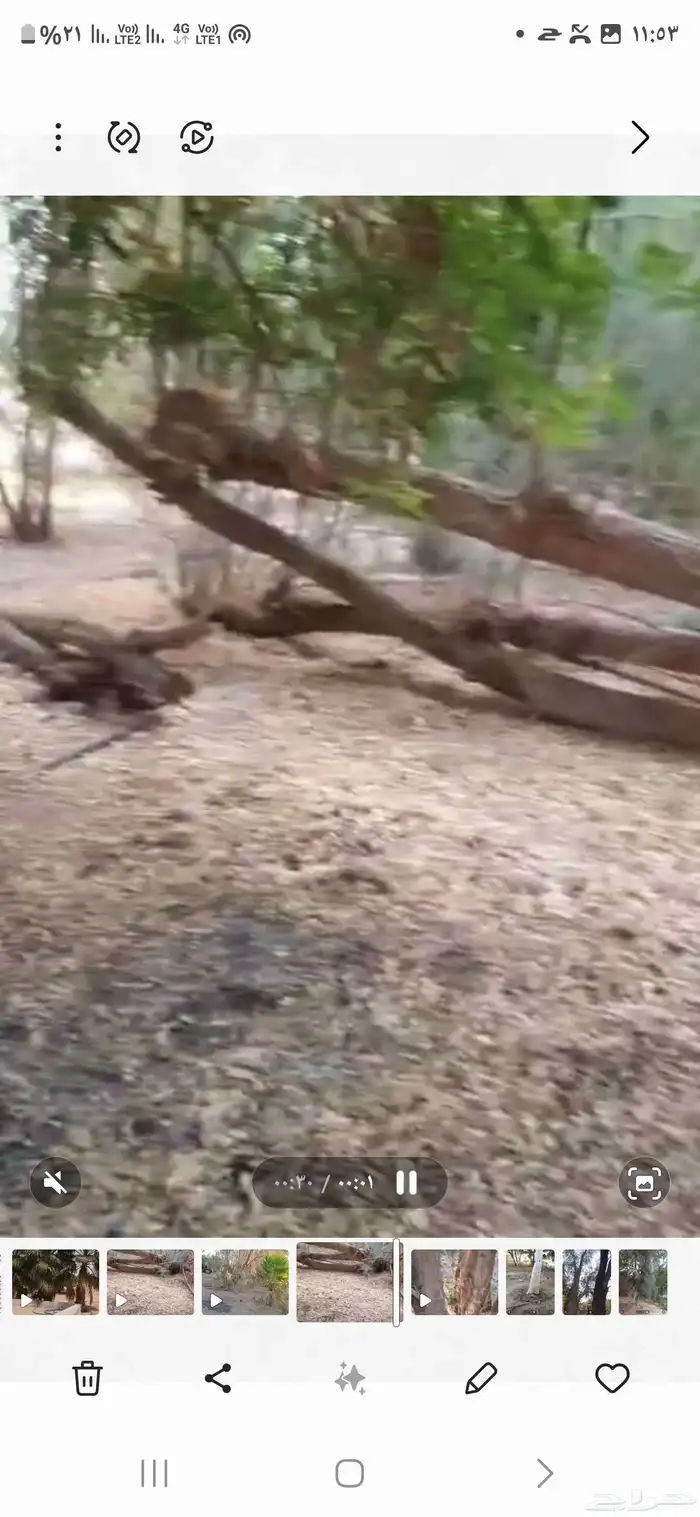 مزرعة للإيجا 3