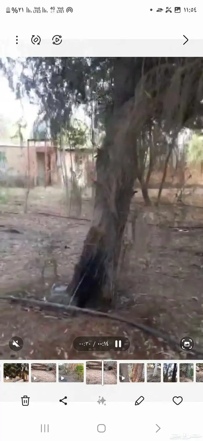 مزرعة للإيجا 0