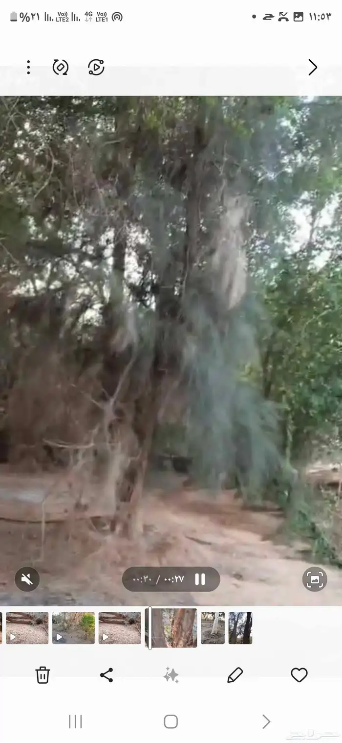 مزرعة للإيجا 4