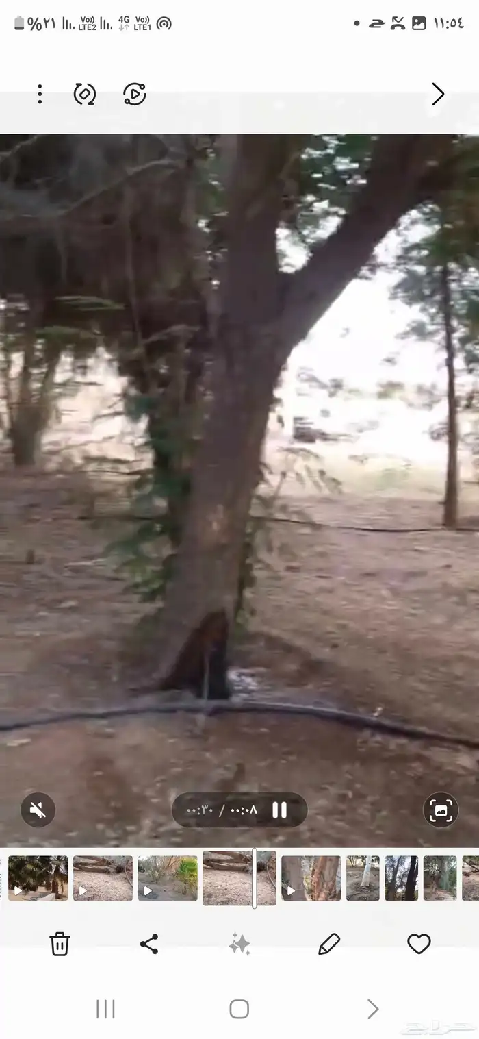 مزرعة للإيجا 1