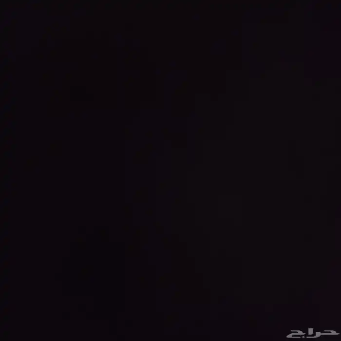 فرس مصريه مسجله بلاك سوده 0