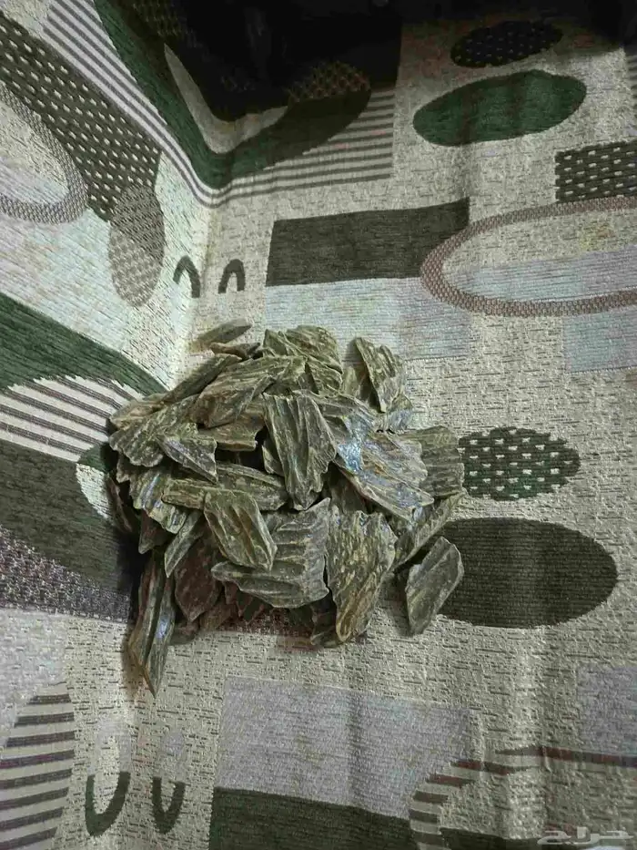عوده كلمنتان 0