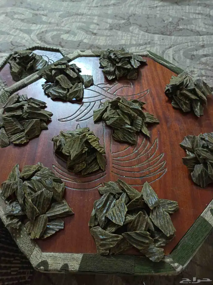 عوده كلمنتان 1