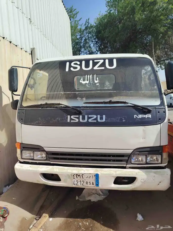 دينا سوزو 0
