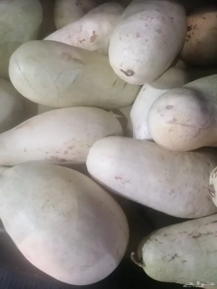 حبحب للبيع 1