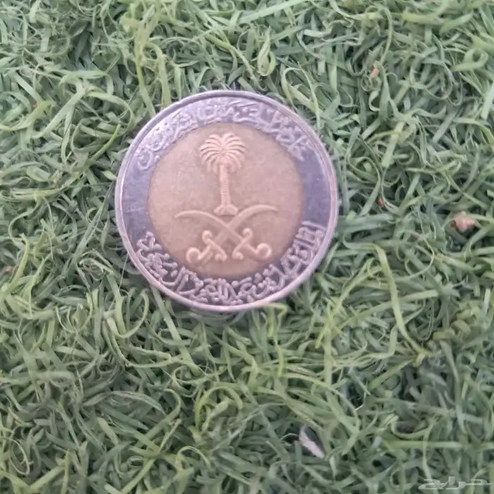 مية هلله في عهد الملك فهد بن عبد العزيز 1419 1
