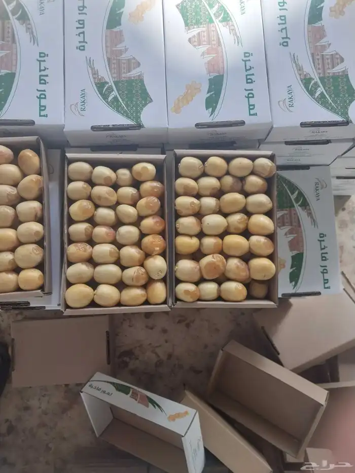 يوجد لدينا جميع انواع التمور 0