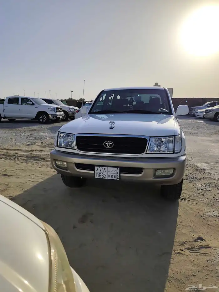 القطيف 6