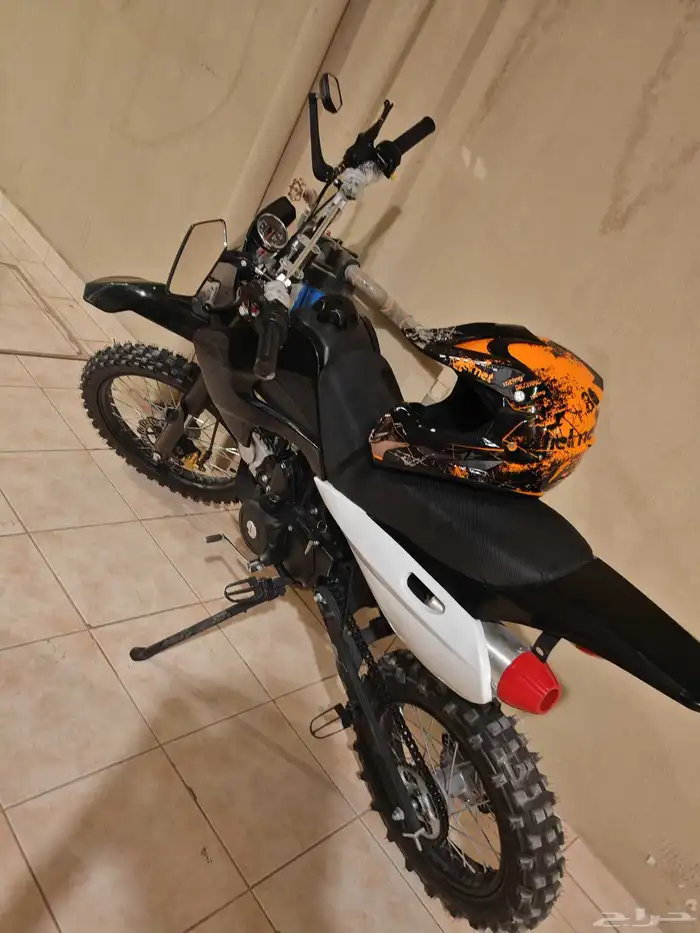 دباب صحراوي 0