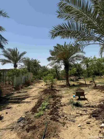 ارض زراعي للبيع الجبيل الصناعيه index