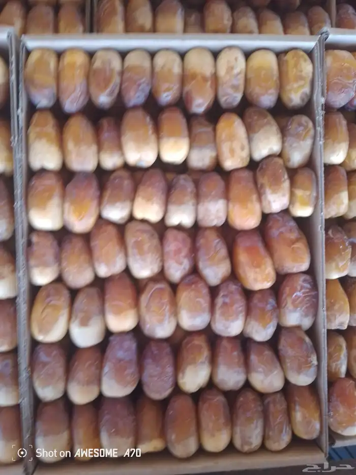 تمور باانواعه 2