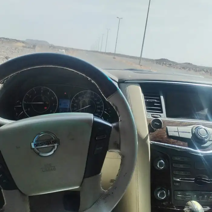 باترول بلاتينيوم 1