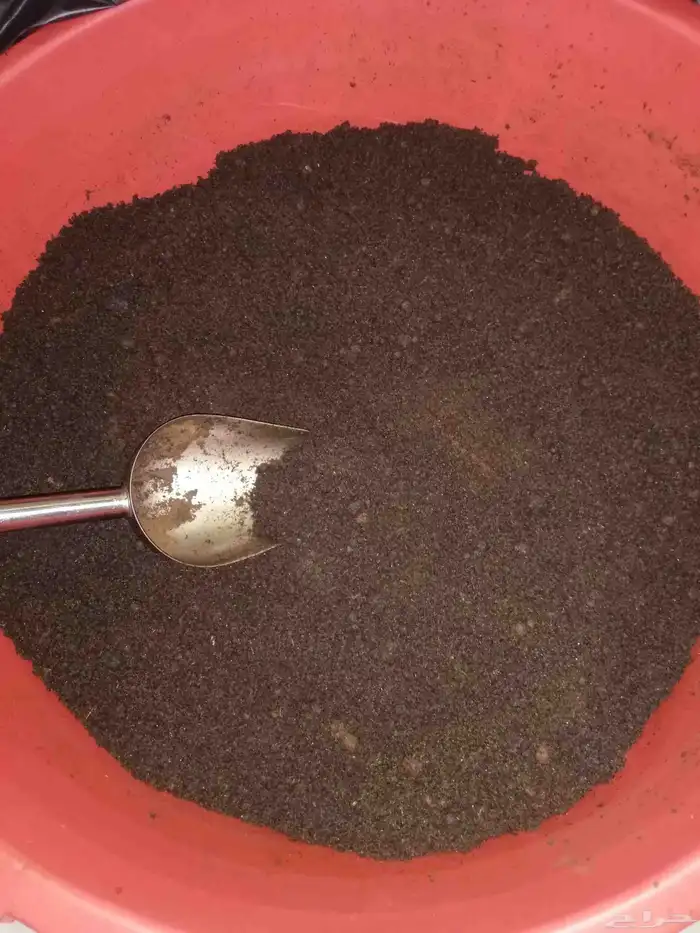 بخور دوسري ملكي 1