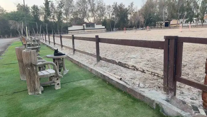 غرف خيل للإيواء 1