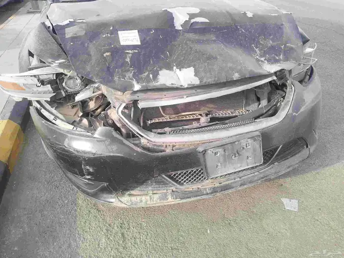 توروس 2014 8