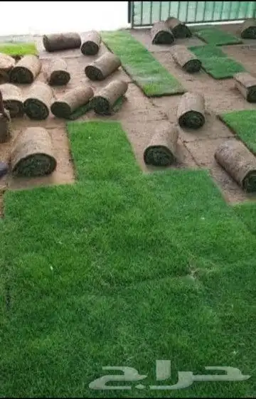 تيل طبيعي سي 2000 4