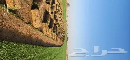 تيل طبيعي سي 2000 0