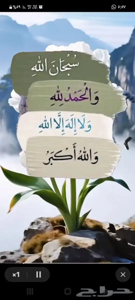 مراجعه جميع الجهات الحكوميه 1