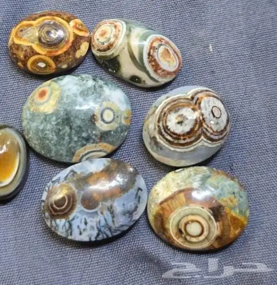 احجار داودية 0