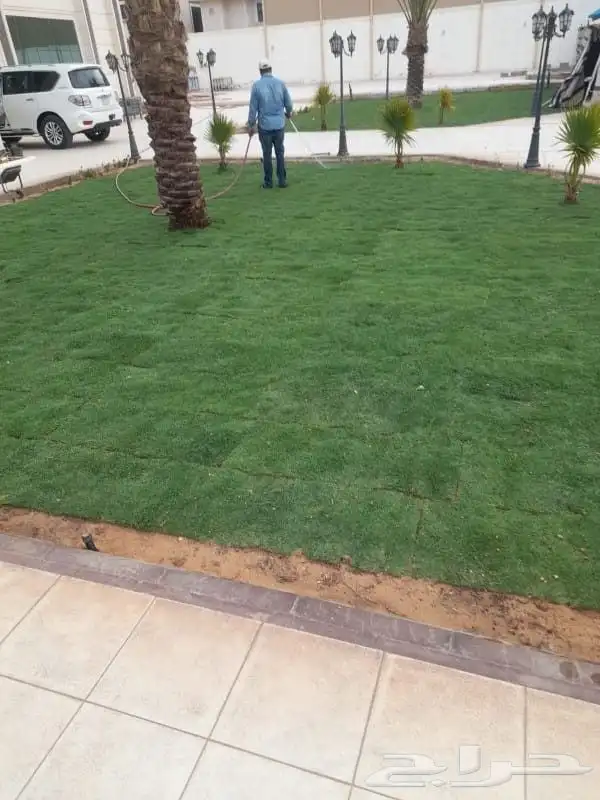 تنسيق حدائق جازن ابوعريش صبيا العارضة الدير العدابي صامطه شل 16