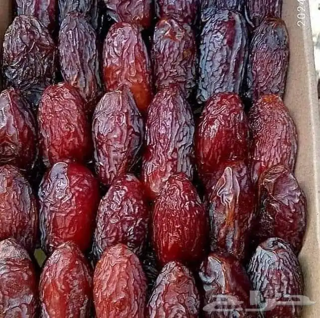 نوفر جميع انواع التمور وجميع الكميات بعون الله 5