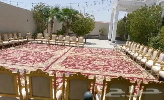 تاجير كنب مفرد كنب ثلاث تاجير كراسي ملكي كراسي زل ملكي 1