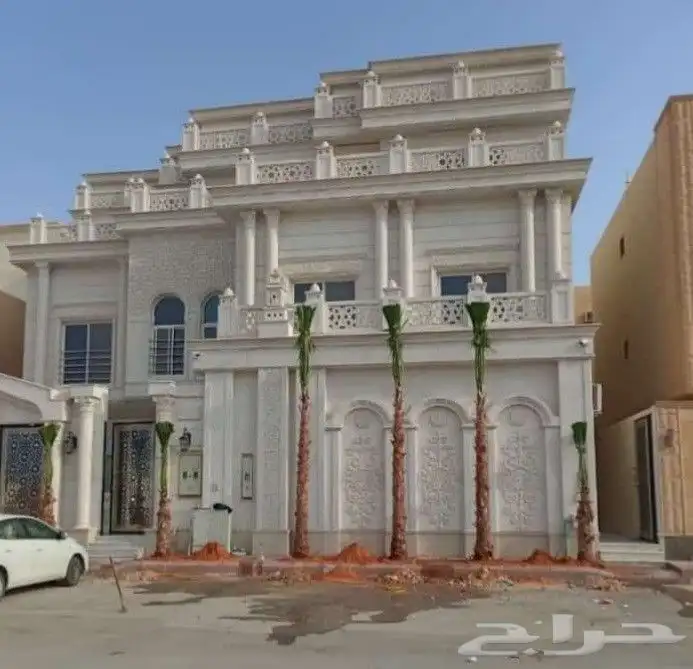 نخل واشنطوني زينه 4