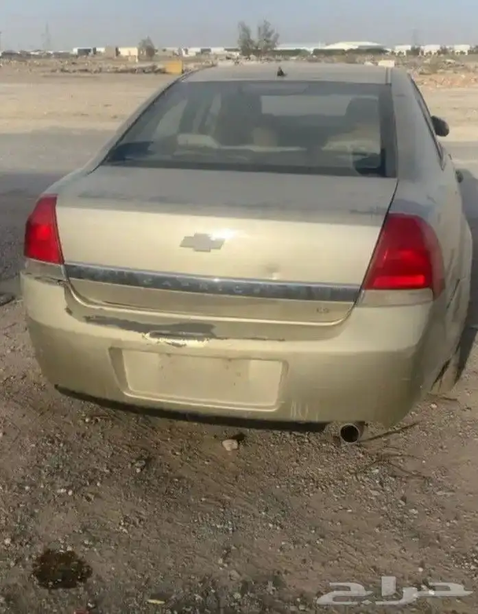 شفر كابرس 2024 0