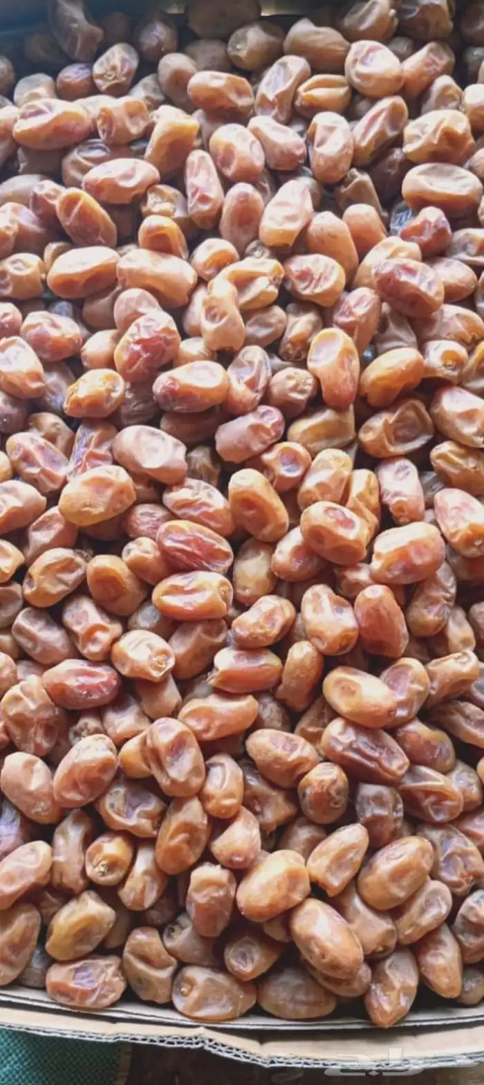 تمر خلاص ومشكلات وصقعي وخضري 0