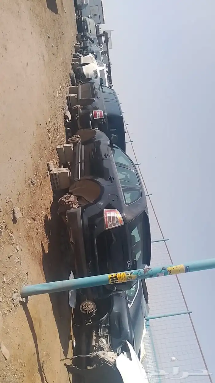 الامركي 6