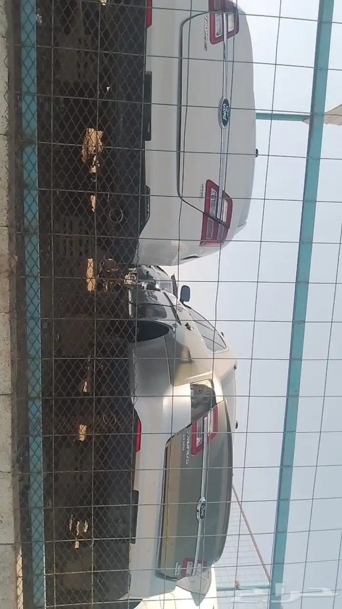 الامركي 5