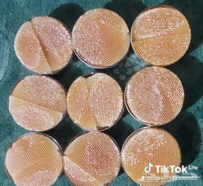العسل اليمني وسمره وسدر دوعني بنواعه والعصيمي 1