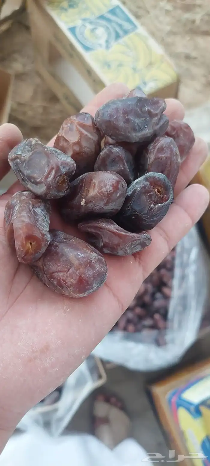 نوفر جميع انواع التمور وجميع الكميات بعون الله 1