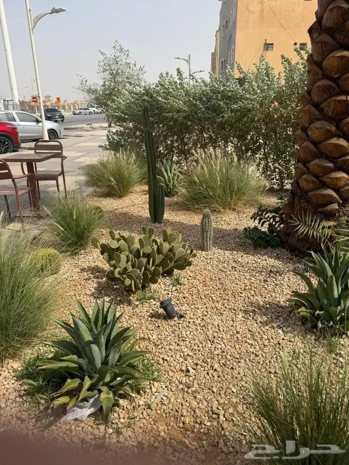 تنسيق حدائق زراعية الرياض   زراعه 0
