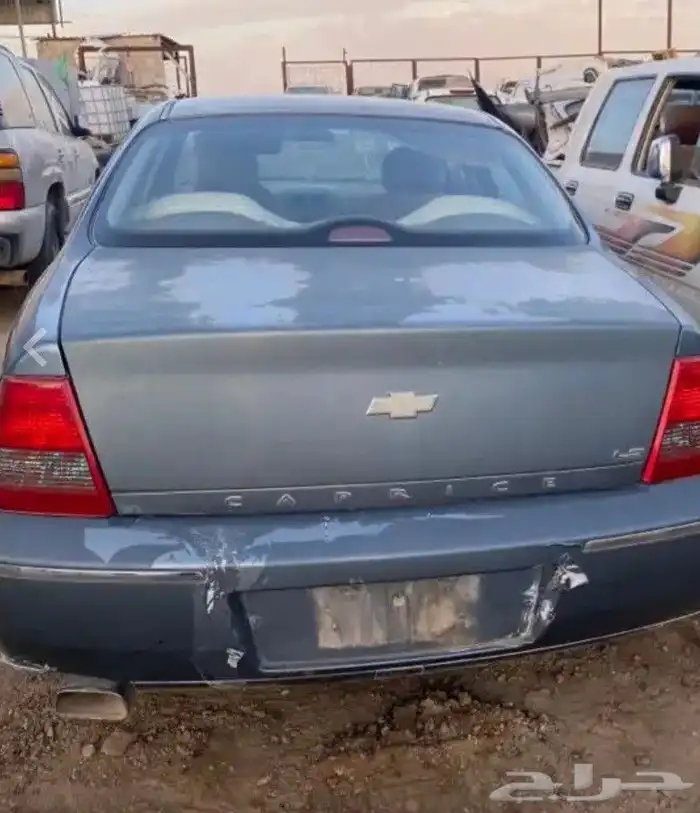 شفر كابرس 2024 6